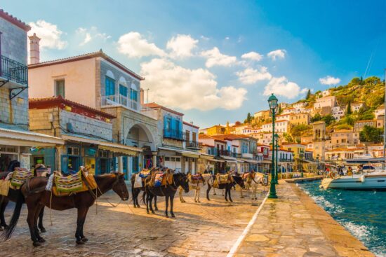 Donkeys at the Greek island of Hydra.