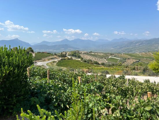 Wines of Greece Cruise 2026